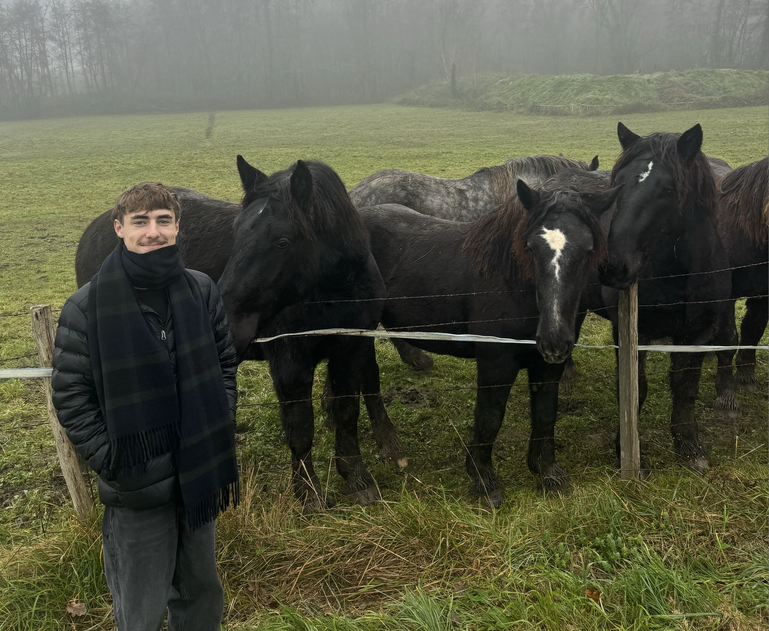 Me and Some French Horses!